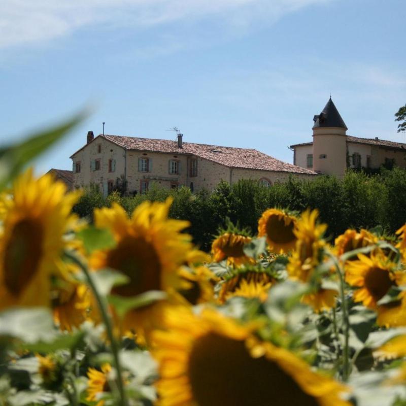 Bed and Breakfast Domaine D'En Naudet Teyssode Экстерьер фото